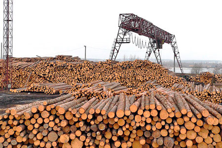 Экспорт леса из Сибири увеличился на 7,9% и превысил $2 млрд. — таможня