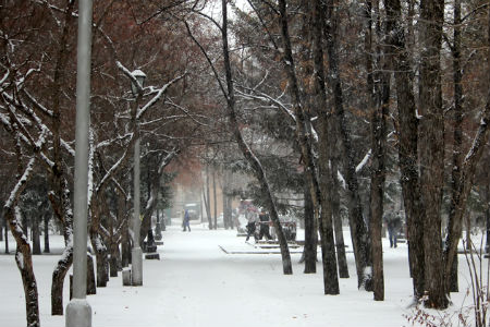Первая декада декабря в Новосибирской области будет теплее нормы на пять градусов