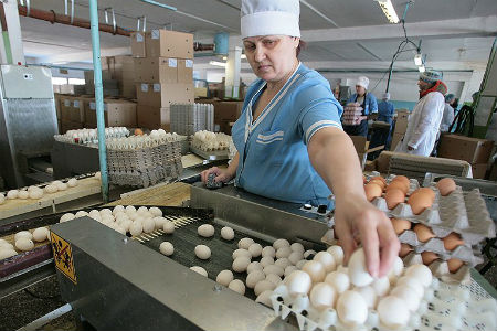 Алтайское УФАС подозревает птицефабрики в необоснованном повышении цен на яйцо 