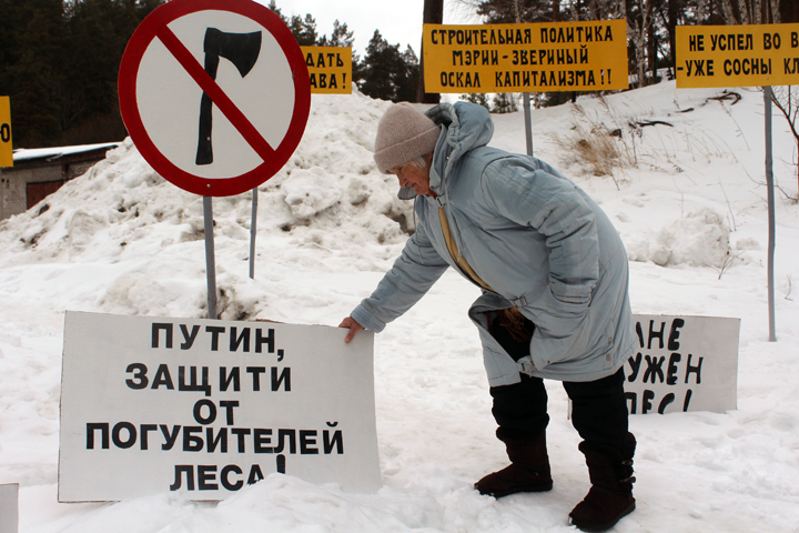 Жители Нижней Ельцовки выступили против вырубки бора под парковку (фото)
