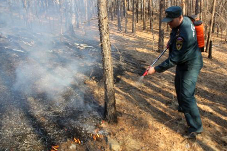 Режим ЧС объявлен в Забайкалье из-за лесных пожаров 