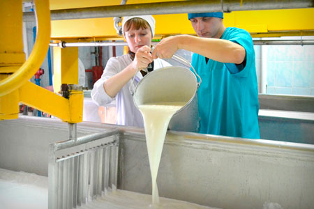 Новый сорт полутвёрдого сыра назвали в честь рек Бия и Катунь
