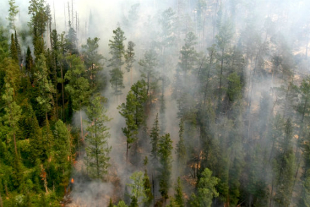 «Транссибнефть»: Лесные пожары не угрожают объектам нефтепроводного транспорта