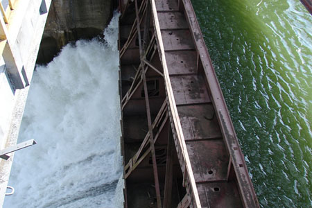 Новосибирская ГЭС проводит сброс плавающей древесины 