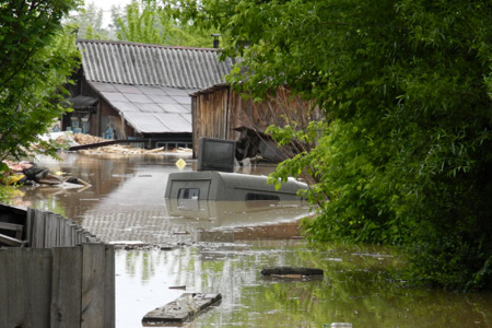 Алтайский край рассчитывает получить на ликвидацию последствий наводнения до 500 млн рублей 