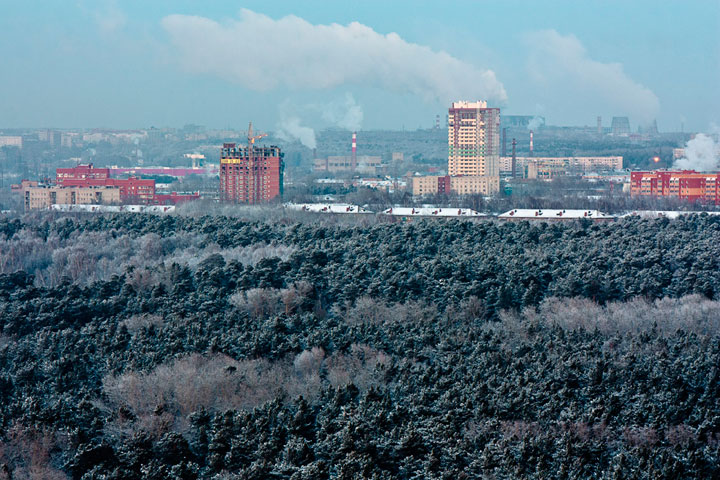 Мэрия Новосибирска выделила СНТ «Заельцовская слобода» участок леса под строительство дач