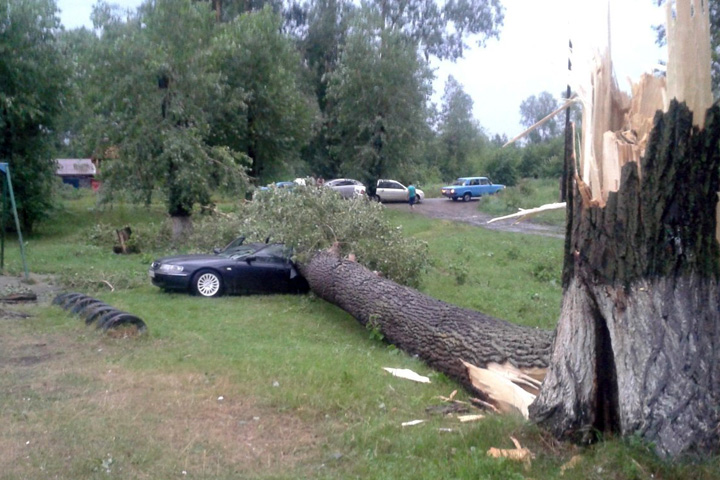 Последствия сильного ветра и дождя устраняют в Красноярске 