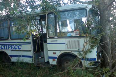 Восемь человек пострадали при столкновении автобуса с автомобилем и деревом в Красноярском крае