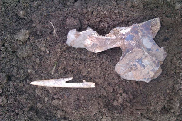 Новосибирец нашел во дворе оружие и два черепа