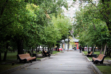 Общественники заметили в новосибирской мэрии «зелёный свет»