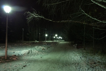 Власти установили освещение в новосибирском дендропарке