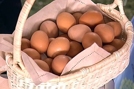 ФАС запретила говорить о вероятном повышении цен на алтайские яйца