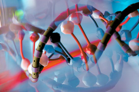 Сибирские ученые открыли аналог ДНК для лекарств нового поколения