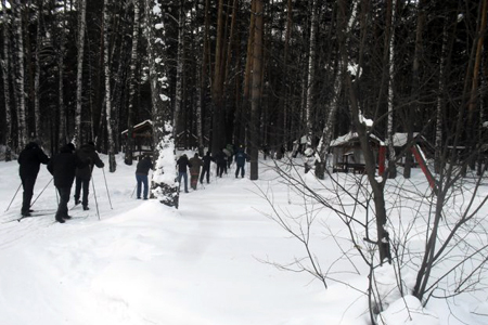 Власти Новосибирска разрешили построить спорткомплекс у парка «Сосновый бор»