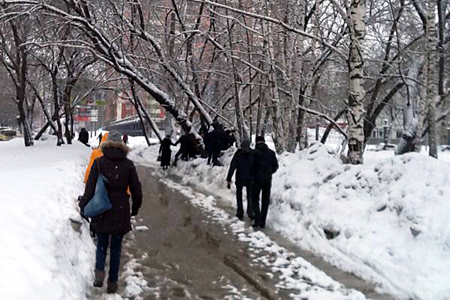 Весна на нашей улице: новосибирская оттепель в фотографиях жителей