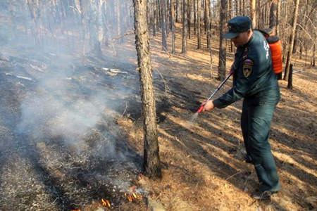 Режим ЧС введен в Забайкальском крае из-за лесных пожаров 