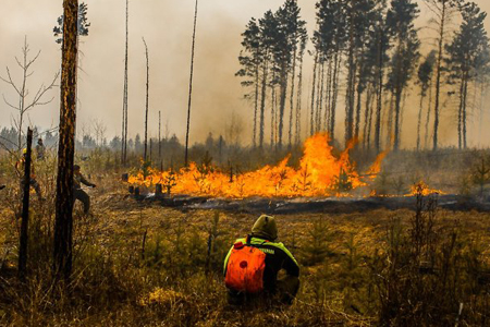СМИ сообщают о гибели людей при лесных пожарах в Забайкалье (фото)