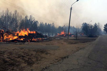 Власти: трое погибли из-за пожаров в Забайкальском крае