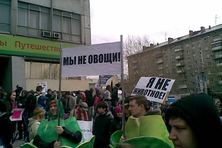 Мэрия Новосибирска предложила перенести Монстрацию на набережную Оби
