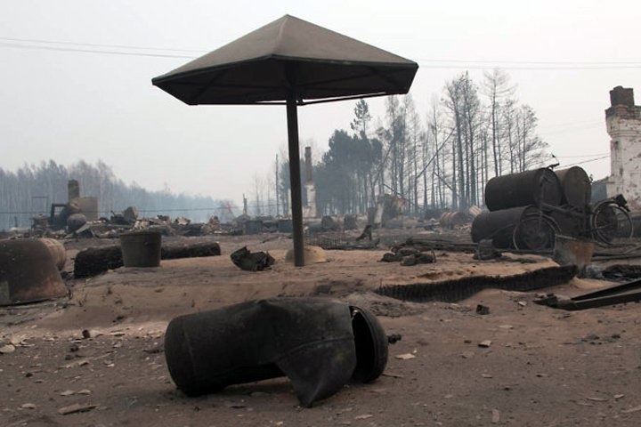 Рогожкин уточнил, какие «оппозиционеры» виновны в лесных пожарах