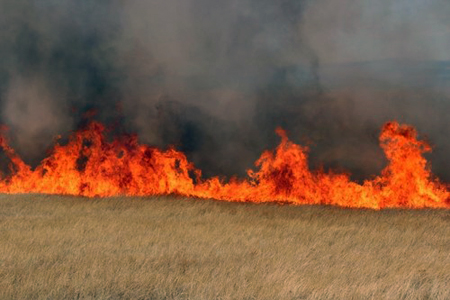 Площадь пожаров в Забайкалье выросла почти на 20%