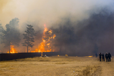 Площадь пожаров продолжает расти в Забайкалье: горит 172 тыс. га лесов 