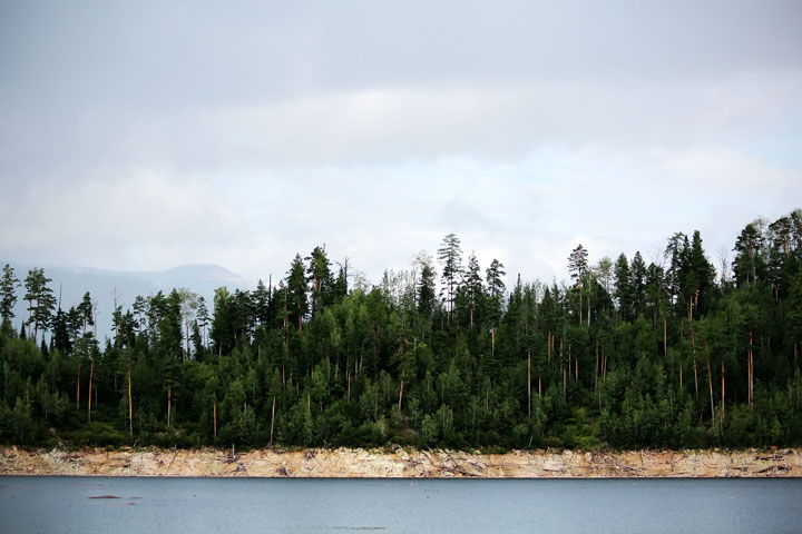 «Сибирская Жуньпэн» бесплатно вывезла в Китай лес на сумму 1,3 млн долларов