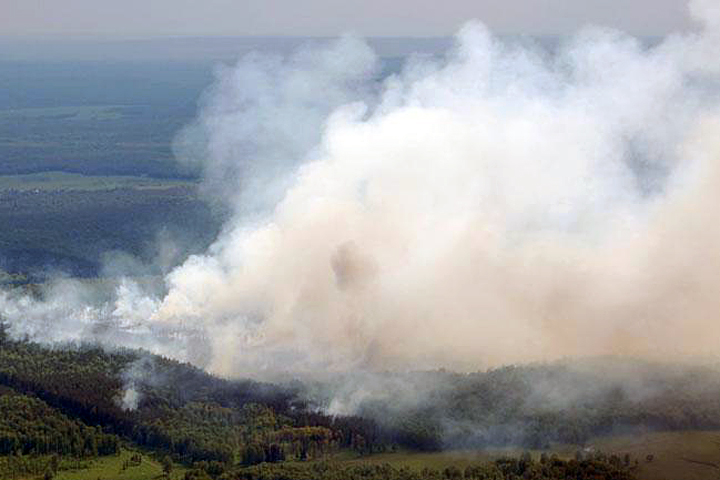 Площадь пожаров в Сибири увеличилась на 15 тыс. га