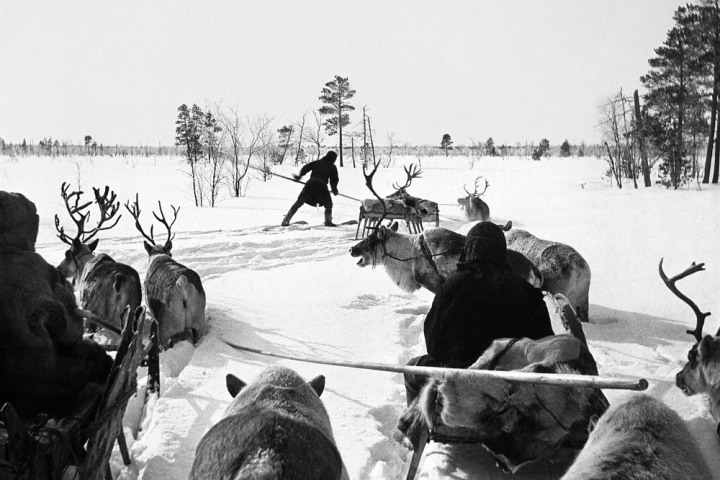 Столетние фотографии из Сибири финского антрополога Кая Доннера покажут в Томске