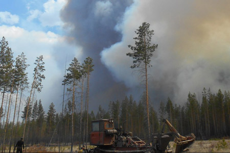 Более 48 тыс. га леса горят в Сибирском федеральном округе 