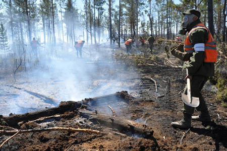 Лесные пожары потушены в Забайкальском крае 