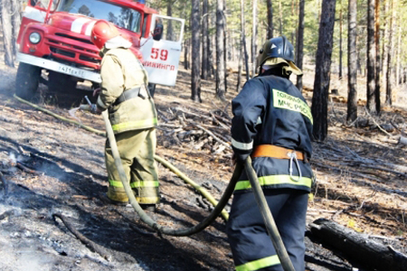 Площадь природных пожаров увеличилась в Сибири: горят почти 20 тыс. га лесов 