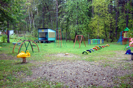 Новосибирским детям-инвалидам не хватает 620 тыс. на игровую площадку