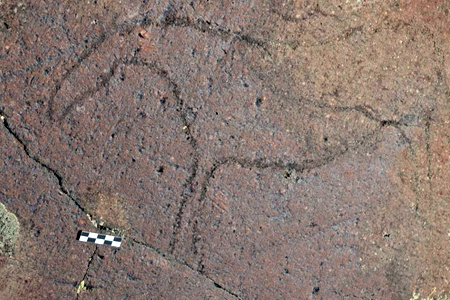 Археологи НГУ нашли древнейшие в Сибири наскальные изображения