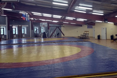 Иркутская академия спортивной борьбы выставлена на Avito