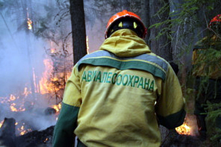 Площадь лесных пожаров в Сибири выросла в три раза