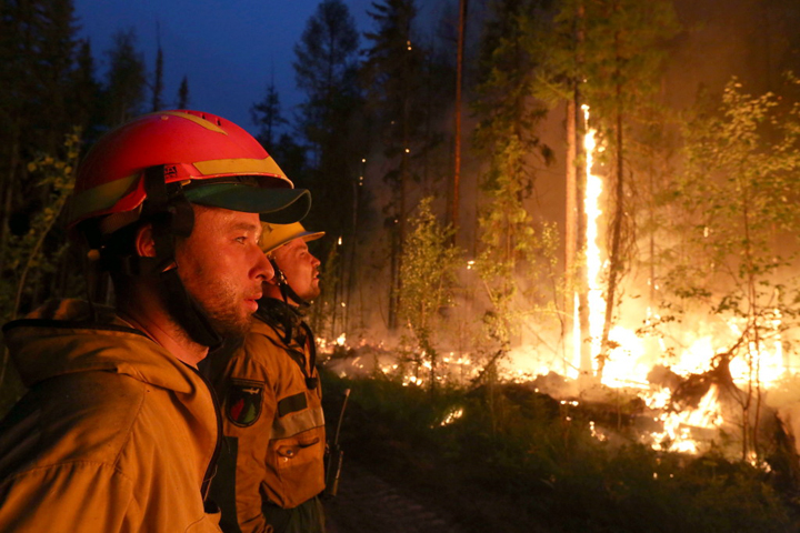 Площадь пожаров в Сибири превысила 120 тыс. га