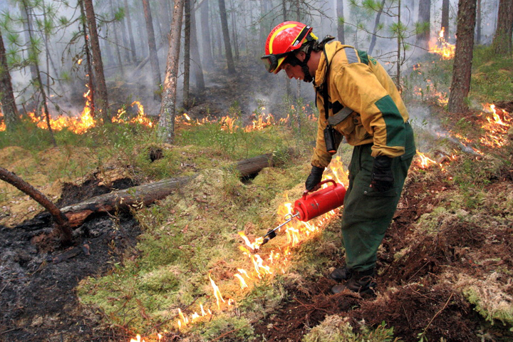 Более 131 тыс. га леса продолжает гореть в Сибири