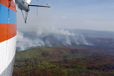 Площадь лесных пожаров вновь начала расти в Сибири 