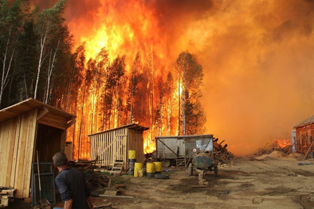 Площадь пожаров в лесах Бурятии превысила 132 тыс. га 