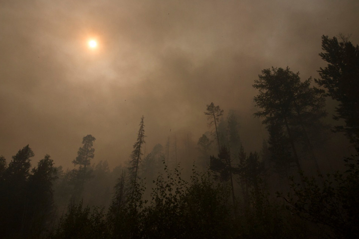 Власти прогнозируют рост пожароопасности в Сибири