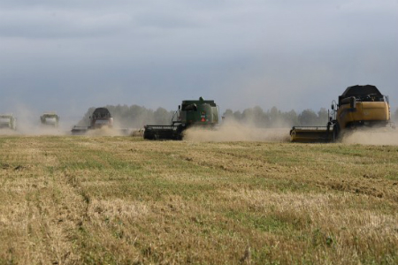 Более 250 тыс тонн зерна собрано в Новосибирской области