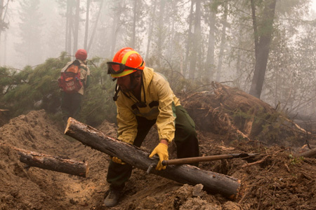 Лесные пожары продолжают действовать в Бурятии на площади 90 тыс. га 