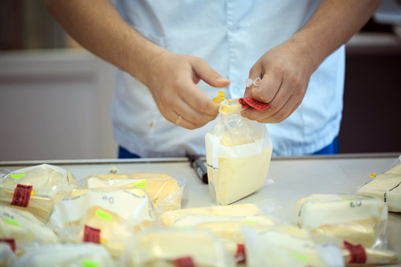 Фальсифицированный сибирский сыр попал в российские магазины после эмбарго