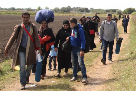 УФМС: Граждане Сирии не просили убежища в Забайкалье