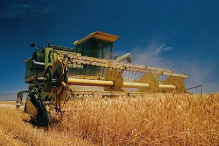 Хозяйства обмолотили более 99% зерна в Новосибирской области