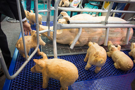 Полсотни свиней погибло при пожаре на предприятии «Сибирской аграрной группы»