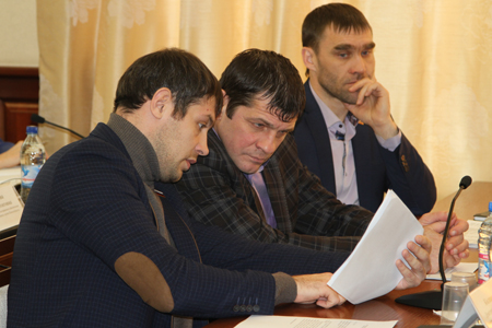 Депутаты обсудили проблемы развития спорта в Новосибирске