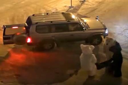 Три человека в костюме медведей «похитили» новосибирца