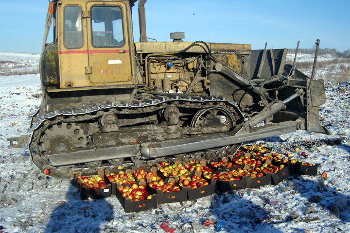 Более 700 кг европейских яблок и киви раздавили в Красноярске